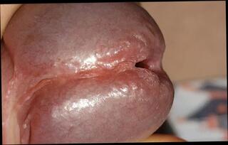 Video 1656189291: dick twink solo cum, daddy fucks twink bareback, gay bareback twink boy, twink bareback gay porn, twink bareback fucking teen, twink bareback fucking amateurs, twink femboy masturbates, twink boy friends bareback, femboy solo cumshot, bear fucks twink bareback, big dick twinks bareback, twink latino bareback fucking, hunk barebacks twink, twink big cock bareback, solo twink handjob, solo straight twink, twink first time bareback, muscle twinks bareback, twink seduces straight, solo man masturbation cumshot, dads fuck twink, twink fucks straight guy, twink fuck old gay, cum close solo, solo masturbation hd, dick deep