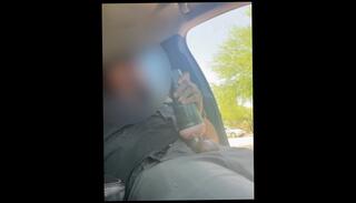 Video 1611947983: solo male fleshlight, amateur solo handjob, solo gay amateur, gay bear solo, black solo amateur, latino fleshlight, public fleshlight, amateur flashing public
