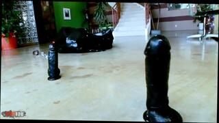 Video 1664869781: britney stevens, mr marcus, roxy reynolds, interracial ffm threesome, interracial bbc domination, interracial threesome anal fuck, threesome babe ffm, interracial black cock bbc, bondage threesome fuck, bbc interracial facial, ebony ffm threesome, threesome ffm big, rough ffm threesome, interracial bbc blonde, threesome pussy licking fucking, threesome pussy ass fucking, dominates big tit babe, threesome facial cumshot, african threesome fuck, big natural tits interracial, threesome pussy eating, rough face fuck bbc, bondage anal play, anal threesome hd, straight threesome, american threesome, curvy threesome, tie interracial, english threesome, black hair babe fucking