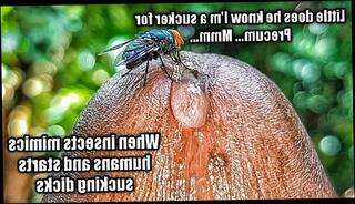 Video 1568339563: solo big dick cumshot, solo masturbation big dick, solo masturbation moaning, solo male masturbation cumshot, sexy solo masturbation, amateur solo sexy, sexy solo play, solo vibe, dripping solo, wet solo masturbation, amateur solo hd, solo close, good solo, dick dripping precum, big dick guy, dick extreme