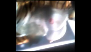 Video 1428414135: gay furry cum, big dick furry, furry muscle, big gay dick cumshots