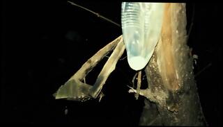 Video 1665266551: gay twink fetish, twink condom, fetish asian twinks, big dick twink cums, big cock gay twink, amateur gay twink, gay twink cumshot, big dick latino twink, twink dick public, twink hd