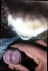 Video 1624098501: solo gay uncut, gay homemade solo, deep throat uncut, indian gay solo, uncut old, masterbation