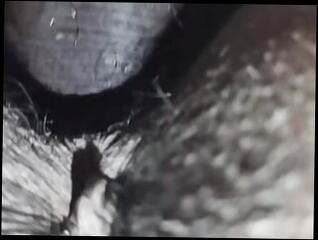 Video 1618102691: doggy style, homemade straight, homemade dogging, indian homemade, homemade hd