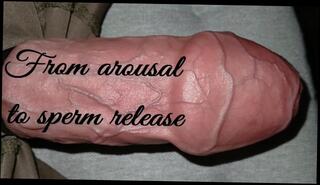 Video 1619186973: solo cock massage, dick solo masturbating cumming, amateur teen solo masturbation, solo big dick cum, solo big dick cumshot, solo male masturbation cum, masturbation massage orgasm, sperm massage, cum close solo, massage head, big dick surprise
