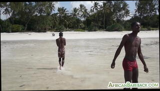 Video 1592297245: bareback twink gay sex, amateur african twinks bareback, uncut gay twink, black twink barebacks amateur, twink couple bareback, twink uncut cock, nubian twink bareback, twink bareback breeding, ethnic twink bareback, ebony twink barebacks, gay slim twink, twink stuffed, twink shower