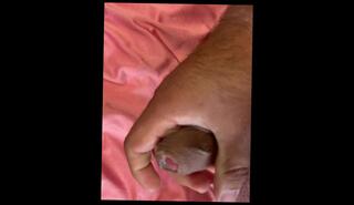 Video 1599884733: fetish solo masturbation, dick solo masturbating cumming, solo masturbation sex toys, solo male masturbation cum, solo masturbation big dick, solo masturbation orgasm, homemade masturbation solo, solo masturbation handjob, solo amateur masturbation, solo bathroom masturbation, friend solo masturbation, panty fetish masturbation, latin solo masturbation, solo female masturbation, mexican solo, mom masturbating, cum 60fps