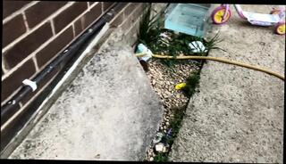 Video 1663228691: bbw mature chubby milf, bbw cuckold milf, bbw amateur milf wife, amateur homemade bbw milf, tit bbw milf fucks, bbw mature milf masturbation, chubby bbw big tits, bbw milf sex, bbw milf toys, chubby british milf, chubby bbw brunette, cuckold amateur wife sharing, natural tits amateur milf, cuckold neighbor's wife, cuckold wife hotel, tits long hair milf, nude mature milfs, milf flashing tits, milf masturbation hd, straight chubby, bbw open, female cuckold