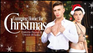 Video 1597569074: rimming bareback, rimming gay sex, bareback sex cumshot, brother family, older brother, cum home