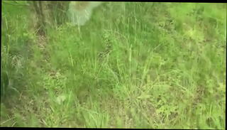Video 1234122205: anal sodomy, french sodomie