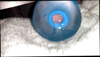 Video 1517768801: fleshlight sex toy, fleshlight cum, big cock fleshlight, fleshlight masturbation, amateur fleshlight, gay fleshlight, slow fleshlight, webcam masturbation cum, amateur masturbation hd