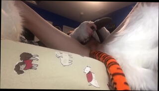 Video 1437864255: furry boy, furry masturbation, boy masturbation cumshot, fucking cute boy