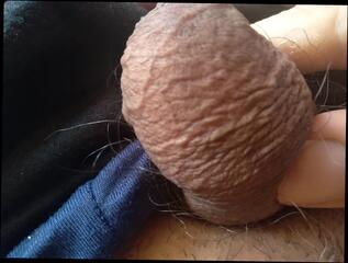 Video 1657783391: gay jocks bareback, bbc gay bareback, monster bbc bareback, fetish jock, cock sucker barebacked, monster cock bbc handjob, black cock bbc cums, black daddy cock bareback, gay bareback big cock, monster cock bareback breeding, jocks massive cock, fat bbc cock, giant cock bareback, gay man bareback, jocks nude, bbc hd