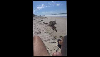 Video 1598595623: dick solo male, amateur solo male, erect dick