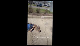 Video 1656480083: solo male bbc, big dick amateur bbc, ebony bbc big dick, bbc celebrity