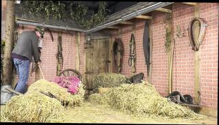 Video 1582756451: amateur hardcore homemade porn, amateur homemade blowjob cock, homemade blowjob big cock, boobs hardcore blowjob, hardcore straight porn, best homemade porn, german homemade porn, great amateur porn, cock hd porn, cock good blowjob, porn stories