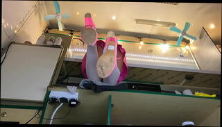 Video 1598501655: sexy virgin teen, virgin teen ass, 18yo virgin teen, virgin spreads, young virgins ass, virgin legs, virgin love, sexy ass stockings, sexy teen outdoor