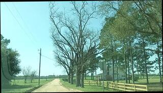 Video 1664127533: milf interracial pov, amateur latin milf pov, milf wife pov, milf wife solo, milf slut pov, milf amateur fetish, ebony milf interracial, solo male pov, mature milf interracial, interracial pov big, amateur pov dick, amateur milf public, interracial muscular, interracial men