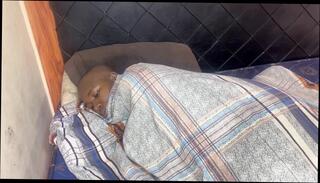 Video 1663614211: bbw finger fucking, doctor fingering, mature bbw fingering, doctor sex fucks, sex couple bbw, fingering masturbation sex, fingering masturbation orgasm, naughty doctor fucks, female doctor fucking, doctor nude, doctors fucking black, doctor straight, doctor helps, doctor came, behind bbw, short fingering, long fingers, fingering hd