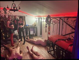 Video 1620814081: femdom domination submission humiliation, bdsm mistress slave, femdom fetish mistress, milf femdom mistress, cfnm femdoms humiliate, bdsm master slave, mistress slave girl, cfnm femdoms cock, submissive teen slave, bisexual orgies teens, girl gangbang orgy, slave wax, bdsm wax play, cfnm european mistress, mistress male slave, german bdsm femdom, wax dripping, slave lady, mistress big cock, milf loves big cock, slave girl hd, milf masterbating, straight humiliation, wax pain, romanian mistress, hungarian mistress, hottest mistress, bdsm first, belgian milf, balls dripping, cock balls hot