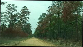 Video 1665679163: milf interracial pov, amateur latin milf pov, ebony milf interracial, japanese milf pov, mature milf interracial, hot milf interracial, interracial pov big, pov amateur girl, amateur pov dick, amateur milf meet, chick interracial, amateur milf public