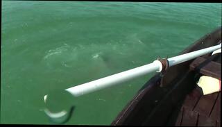 Video 1663905405: jasmine rouge, aleska diamond, steve holmes, titus steel, gangbang orgy sex party, pov missionary doggy style, doggy style pov cum, pov bj doggy style, girl doggy style pov, booty babe doggy styled, busty babe doggy styled, dick doggy style pov, pov doggy style cumshot, cock doggy style pov, pov blowjob doggy style, pov doggy style teen, pov double bj, big booty busty babe, busty pov slut, black booty doggy style, pov doggy style deep, busty blonde doggy style, wild gangbang orgy, busty beauty pov, busty girl friend cum, pov deep throat bj, sexy girl doggy style, pov blowjob cum load, tits pov deep throat, sexy natural busty teen, fat booty white girl, pov deep throat face, babe doggy styled outdoors, white cock pov close, girls gangbang guy, mouth pov cummed, doggy style multiple, lover doggy style, thorn double