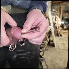 Video 1657164281: squirt sperm, cock sounding urethral toy, sounding urethral sex toy, pierced cock cumming, pierced cock masturbation, small penis gay sex, homemade sex toy, cock cumming close, cock public masturbation, sex toy german, homemade hd sex