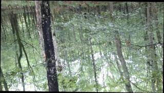 Video 1657492611: amateur solo handjob cumshot, cock masturbation solo cumshot, cumshot masturbation gay solo, white cock solo masturbation, european solo masturbation, small cock solo, mature solo masturbation, solo masturbation hd, french solo, handjob naked, little handjob, good handjob