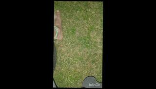 Video 1657214363: solo male piss, amateur solo sexy, bike ride, sexy men pissing, hot amateur solo, nature pee, amateur hippie