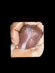 Video 1654911211: bbw squirt bbc, bbc creampie squirting, bbc doggy style creampie, interracial doggy style creampie, creampie pussy squirt orgasm, squirting orgasm creampie anal, couple amateur interracial bbc, interracial bbc anal sex, cock doggy style squirts, ass doggy style creampie, creampie homemade doggy style, bbw masturbates squirts, big ass bbw doggy, interracial black cock bbc, girl bbc creampie, mature squirts bbc, squirting creampie female, cougar squirting, ass fucking pussy squirting, amateur pornstar squirts, dick anal doggy style, doggy style nude, squirting straight, squirt cum, pussy creampie hd, squirt slow, american squirting, squirt time