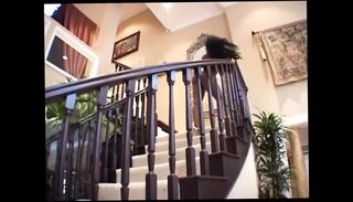 Video 1656557611: lori alexia, babe pussy licked fucked, ass fuck pussy licking, pussy licked fucked blowjob, blowjob cumshot pussy fucking, snatch licked fucked, twat licked fucked, vagina licking fucking, fuck lick black pussy, ass licking pussy eating, nude pussy licking, licking pussy fucking big, pussy licking straight, pussy licking position, pussy fuck giant, big ass african babe, babe fucks american, hot babe fucked hard, pussy licking hd, ass fucks large, afro pussy