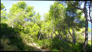 Video 1624502685: aurora viper, cunnilingus deep throat doggy, doggy style anal gaping, fingering doggy style fuck, gaping ass hole fingered, doggy style finger pussy, doggy reverse cowgirl fuck, mom fucked doggy style, sexy doggy style fucking, handjob doggy style fuck, cock doggy style fucking, fuck big anal gape, shaved pussy fucked doggy, tits fucked doggy style, heels fucked doggy style, doggy style fucking lingerie, stockings doggy style fucking, fishnet finger fucked, high heels doggy style, clothed doggy style, bed doggy style, doggy style hair, fuck step mom sexy, fuck redhead girl