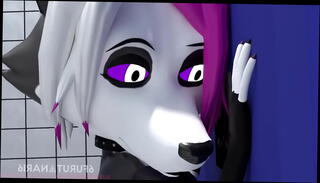 Video 1590304125: furry sex, horny furry, furry cum, sex bukkake, furry boss, hot furry, oral sex horny