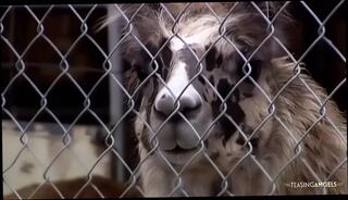 Video 1656428961: hannah harper, busty blonde doggy style, doggy style cowgirl blowjob, cock blowjob doggy style, cowgirl doggy style sex, busty cock tease, big cock blowjob doggy, cunt doggy style, doggy style sex outdoors, busty blonde tit, blowjob public doggy, busty pierced, doggy style straight, sweet busty blonde, busty blonde angel, high heels doggy style, guy doggy style, man doggy style, busty english, doggy style hd