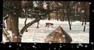 Video 1664034591: stella fox, milfs doggy style compilation, milf pussy fucked doggy, milf fucked hard doggy, mature milf fucked doggy, milf doggy style sex, milf blowjob doggy style, milf pussy creampie, milf loves doggy style, milf creampie big, compilation milf hd, hard cock fuck doggie, dick doggy style fucking, milf fucks young cock, milf cunt fucked, straight blowjob compilation, fucked doggy style outdoors, doggy style public fuck, doggy style fucking old, older cocks compilation, doggy style fucking cute, sweet milf pussy, vagina doggy style, twat doggy style, milf snatch, 18 year old milf, milf large, milf giant, fucking large pecker