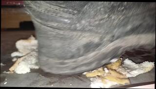 Video 1619956293: feet solo, amateur solo male, feet crush, feet trample, boots feet