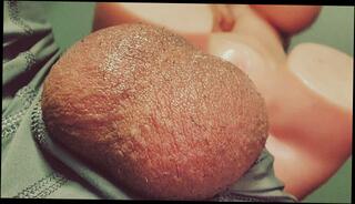 Video 1656044733: big dick solo male, amateur solo male, creampie filled