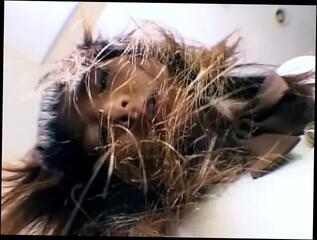 Video 1606737971: pussy schoolgirl finger fucked, girl fingering hairy pussy, teen fingering hairy pussy, fingers hairy asian pussy, hairy slut fingers, japanese schoolgirl fingered, hairy brunette fingering, hardcore hairy pussy fuck, hairy pussy dick fucked, amateur hairy pussy fuck, hairy pussy school girl, hairy pussy fucked deep, hairy pussy hot fucking, finger fucking eating pussy, cowgirl hairy pussy, hairy girl sex, finger fucking straight, hottest amateur hairy, booty fucked, schoolgirl facialized, booty orgasm, japanese schoolgirl uniform, booty meat, man booty, slut fucks big dick, fucking biggest dick, fucking slut tight, big dick fuck sweet, fucking behind, riding