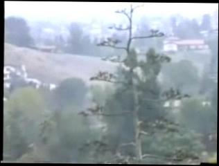 Video 119477304: vintage interracial sex, vintage group sex, vintage shemale