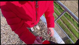 Video 1658082163: chubby milf pov, amateur milf pov blowjob, tits milf pov blowjob, milf pov deep throat, hot milf pov blowjob, chubby milf big tits, milf pov handjob, milf pov cumshot, beautiful chubby milf, chubby german milf, chubby brunette milf, outdoor amateur milf handjob, chubby natural tits amateur, chubby amateur girl, hot milf bitch