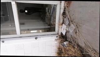 Video 1657228291: hairy trans man, hairy ladyboy, hairy tranny, hairy shemale, hairy thai, hd hairy