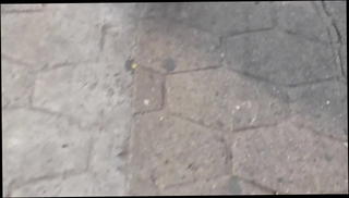 Video 1571180351: cute ass, shemale