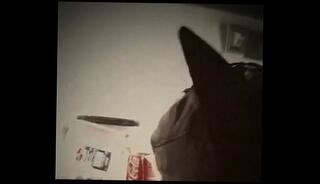 Video 28446975: pet puppy, pet dog, pet play