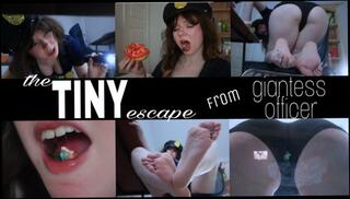 Video 1654628813: feet pov foot fetish, foot fetish domination pov, pov femdom foot fetish, pov giantess femdom domination, tiny feet foot, femdom fart pov, barefoot foot fetish, female domination femdom pov, feet fetish solo, fetish feet ass, foot fetish big ass, feet fetish babe, amateur foot fetish, giantess vore fetish, feet foot smother, foot fetish office, fart punishment, cosplay foot fetish, feet foot play, tiny man pov, police punishment