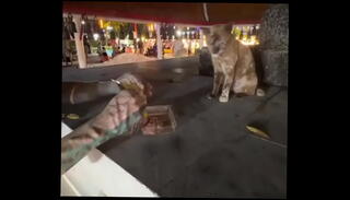 Video 1623735185: crazy lady