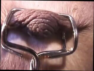 Video 1658455901: ball gagged submissive, submissive dominant girls, bondage ball gag, blonde vintage retro classic, tiny submissive, hot fetish vintage, vintage retro big, tiny girl pussy, tiny tits girl, pussy wet girl fetish, boobs tiny pussy, tiny tits chick, ball gagged cutie, tiny petite girl, small tiny pussy, submissive straight, submissive english, hottest retro, vintage close, blind girl