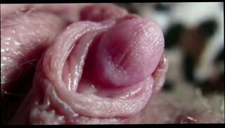 Video 1666116245: big clit closeup, amateur clit orgasm, pussy clit orgasm, orgasm amateur homemade, clit pussy close, orgasmo vaginal