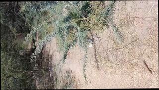 Video 1602837891: desi aunty outdoor, outdoor sex, indian straight