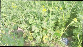 Video 1658842451: bareback piss asian twink, vintage twinks bareback, twink gay boys pissing, daddy fucks twink bareback, gay twink boy bondage, bareback twink gay sex, twink bareback fucking teen, twink bareback fucking amateurs, japanese twink bareback sex, femboy fucked bareback, twink femboy masturbates, twink love bareback fucking, twinks hot bareback fucking, barebacks young twink gay, twink big cock bareback, pinoy twink barebacked, oiled femboy, vintage black bareback, pissing boy nude gay, straight boy fucked bareback, gay sex pissing men, pissing boys bathroom fuck, gay sex guys bareback, sex pissing toys, twink boy fisting, twink fuck old gay, gay man fucking twink, daddy barebacks step son, indian boy oil, pissing boys public, twink sex hd, handjob sex, father step son gay