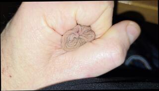 Video 1664903111: dick solo masturbating cumming, solo cock masturbation cum, cock masturbation solo cumshot, solo big dick cum, solo masturbation cam, gay cum solo, daddy solo masturbation, solo amateur cum, big balls solo, solo man big dick, solo masturbation hd, office solo, italian solo, balls sperm